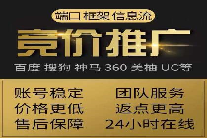 SEM运营公司成功案例解析
