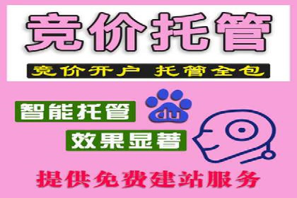 某企业SEM竞价员如何应对竞争的案例研究